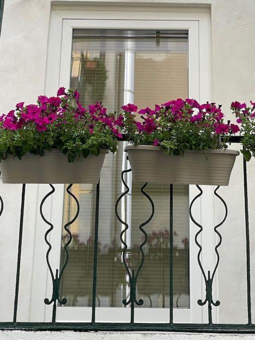 Grazioso Monolocale Apartment Milano Exterior foto